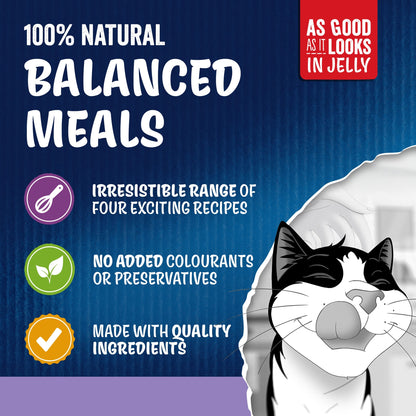 Felix As Good As It Looks Senior 7+ Mixed in Jelly Wet Cat Food 40x85g — image 4
