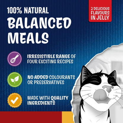 FELIX Doubly Delicious Countryside Selection in Jelly Wet Cat Food 12x85g — image 4