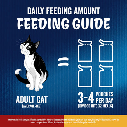 Felix Doubly Delicious Meat Countryside Selection in Jelly Wet Cat Food 40x85g — image 7