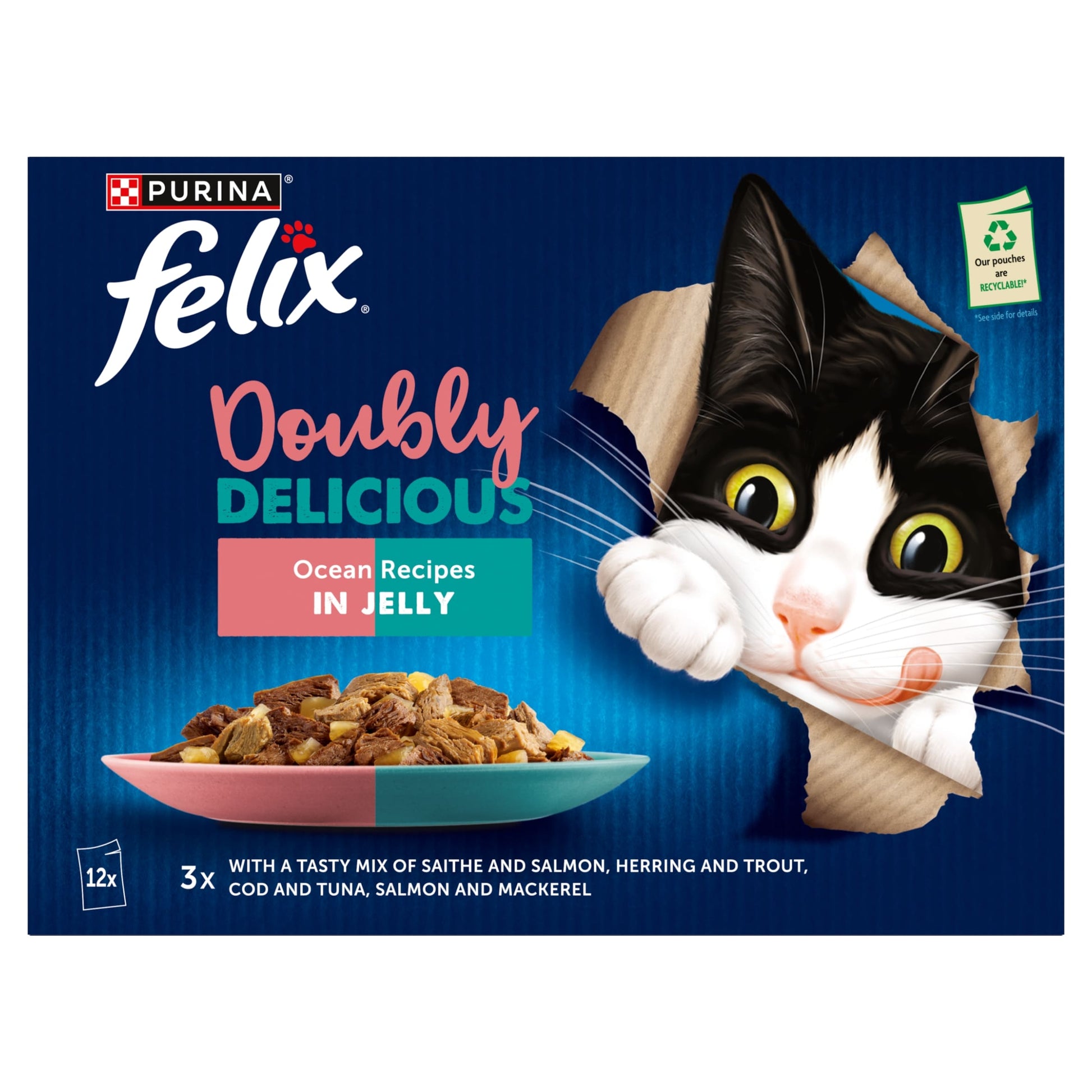 FELIX Doubly Delicious Ocean Recipes in Jelly Wet Cat Food 12x85g — image 2