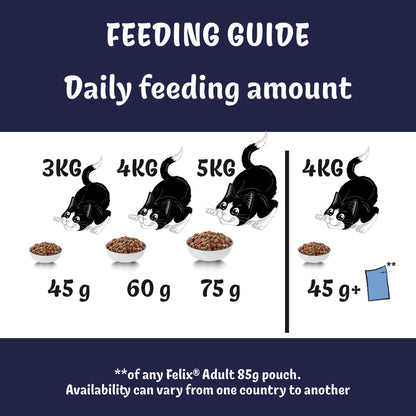 FELIX Doubly Delicious Salmon & Veg Dry Cat Food 750g — image 6