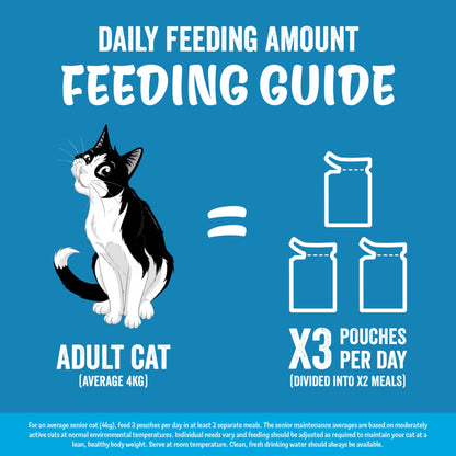 FELIX Original Fish Selection in Jelly Wet Cat Food 40x85g — image 7