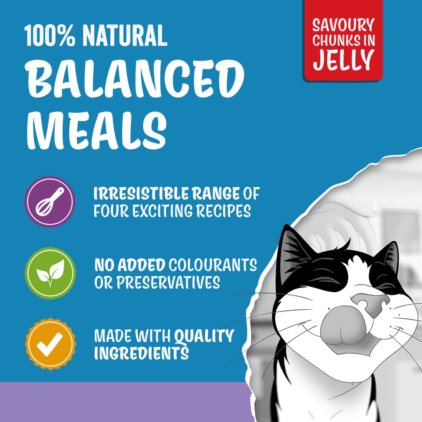 FELIX ORIGINAL Mixed Selection in Jelly Wet Cat Food 12x85g — image 4