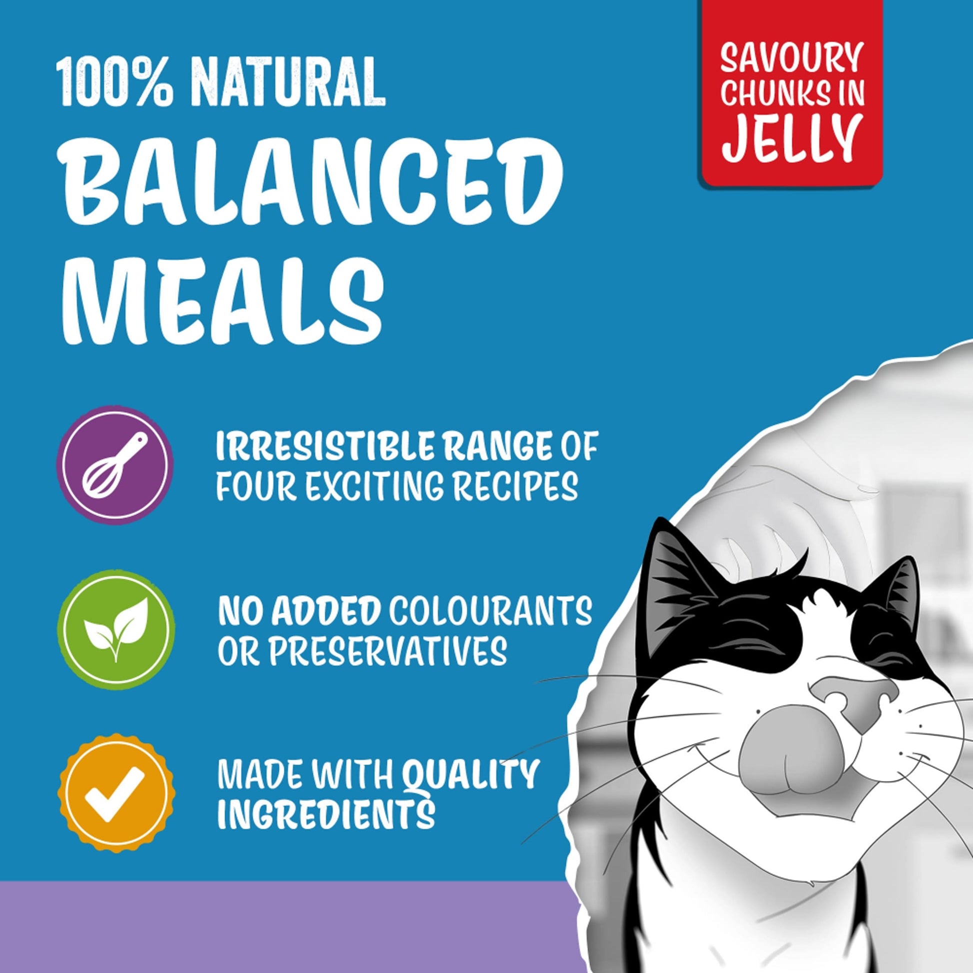 FELIX ORIGINAL Mixed Selection in Jelly Wet Cat Food 12x85g — image 4