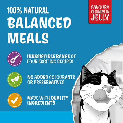 Felix Original Senior Fish Selection in Jelly Cat food 40x85g — image 4