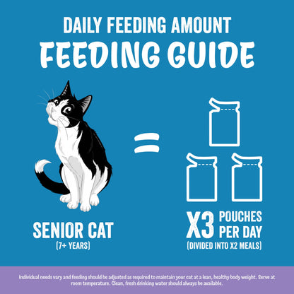 FELIX ORIGINAL Senior Mixed Selection in Jelly Wet Cat Food 12x85g — image 7