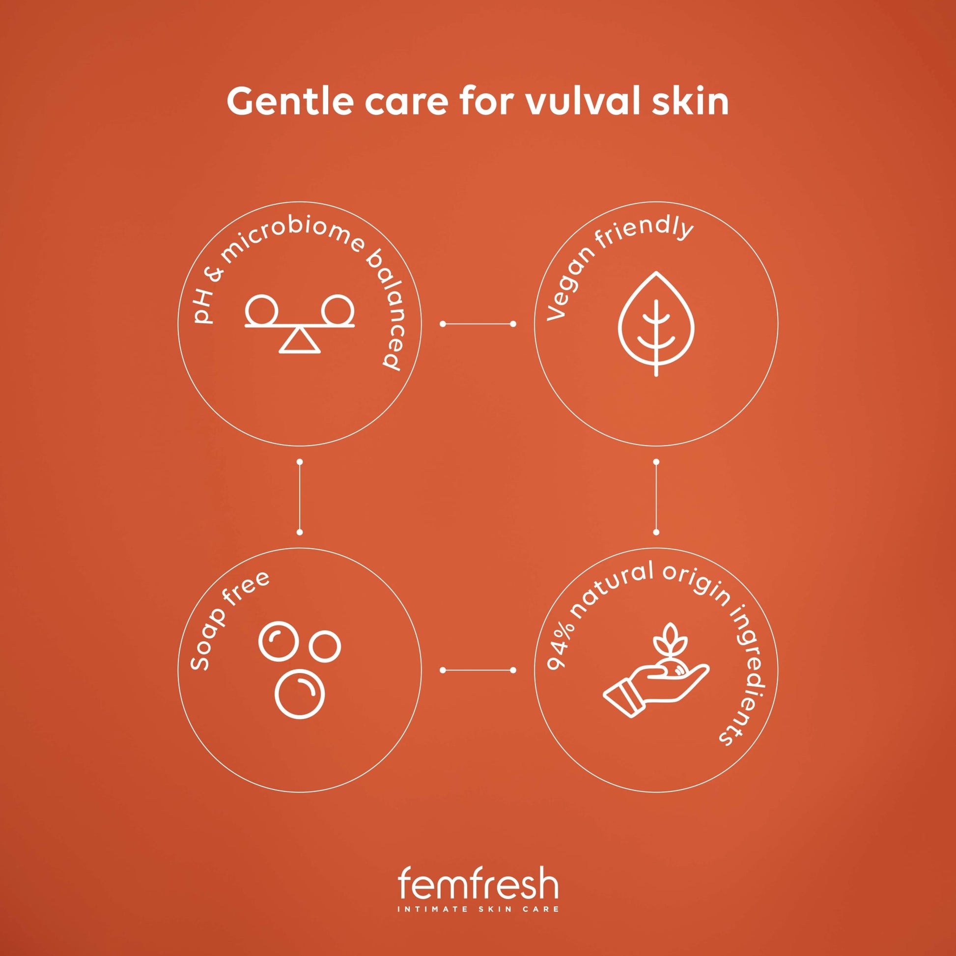 Femfresh Daily Intimate Wash 250Ml — image 4