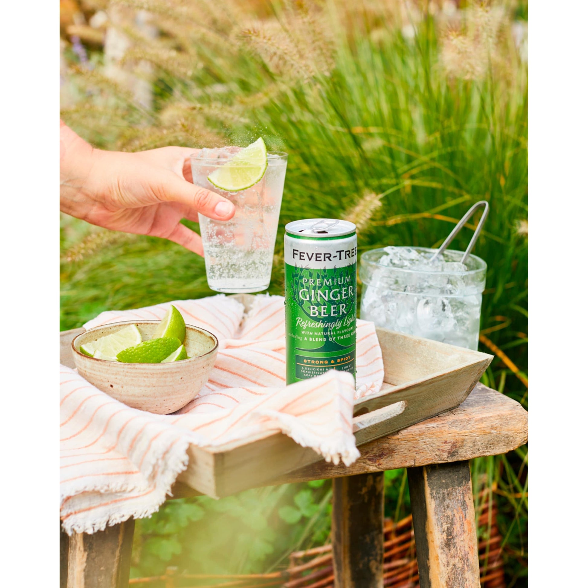 Fever-Tree Ginger Beer Cans 4x250ml — image 3