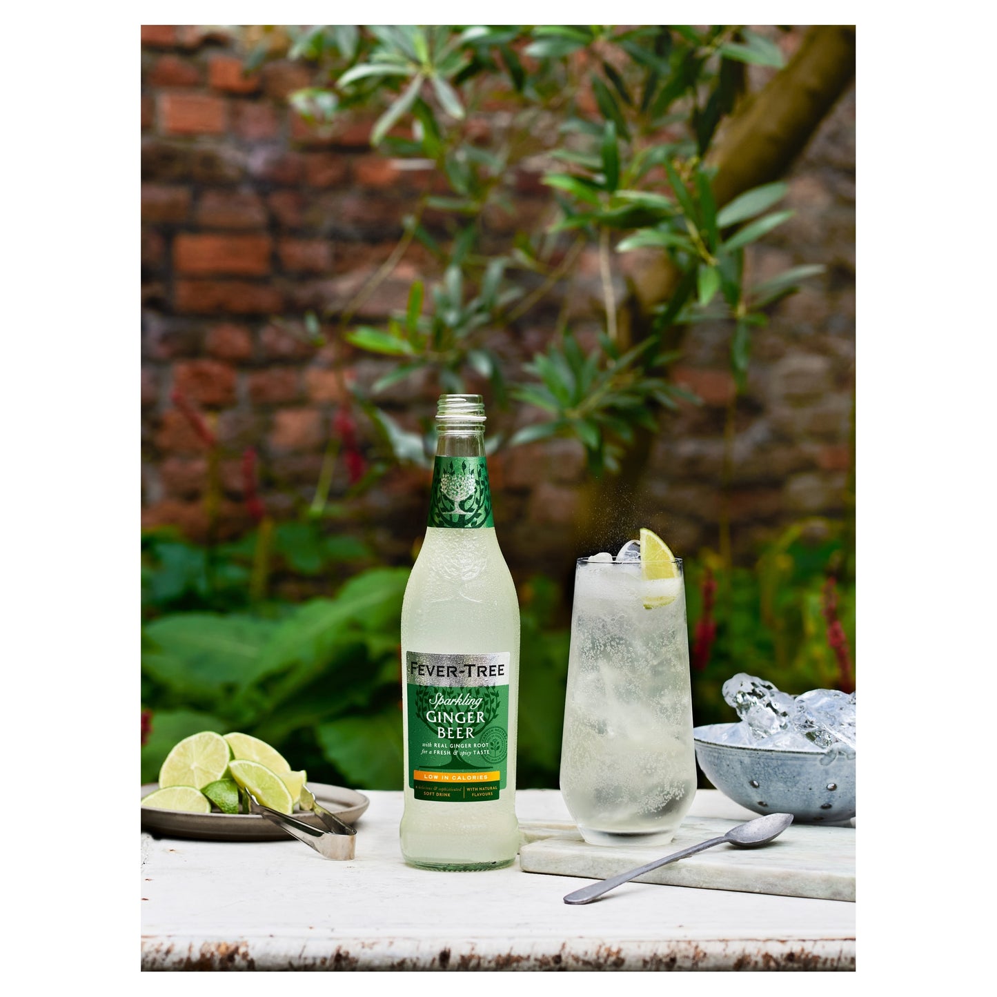 Fever-Tree Light Ginger Beer Bottle 500ml — image 2