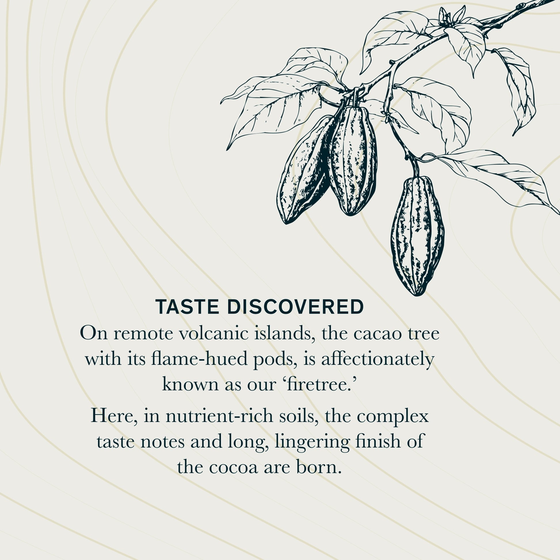 Firetree Rich Volcanic Chocolate 175g — image 5