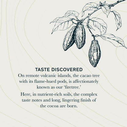 Firetree Rich Volcanic Chocolate 175g — image 5