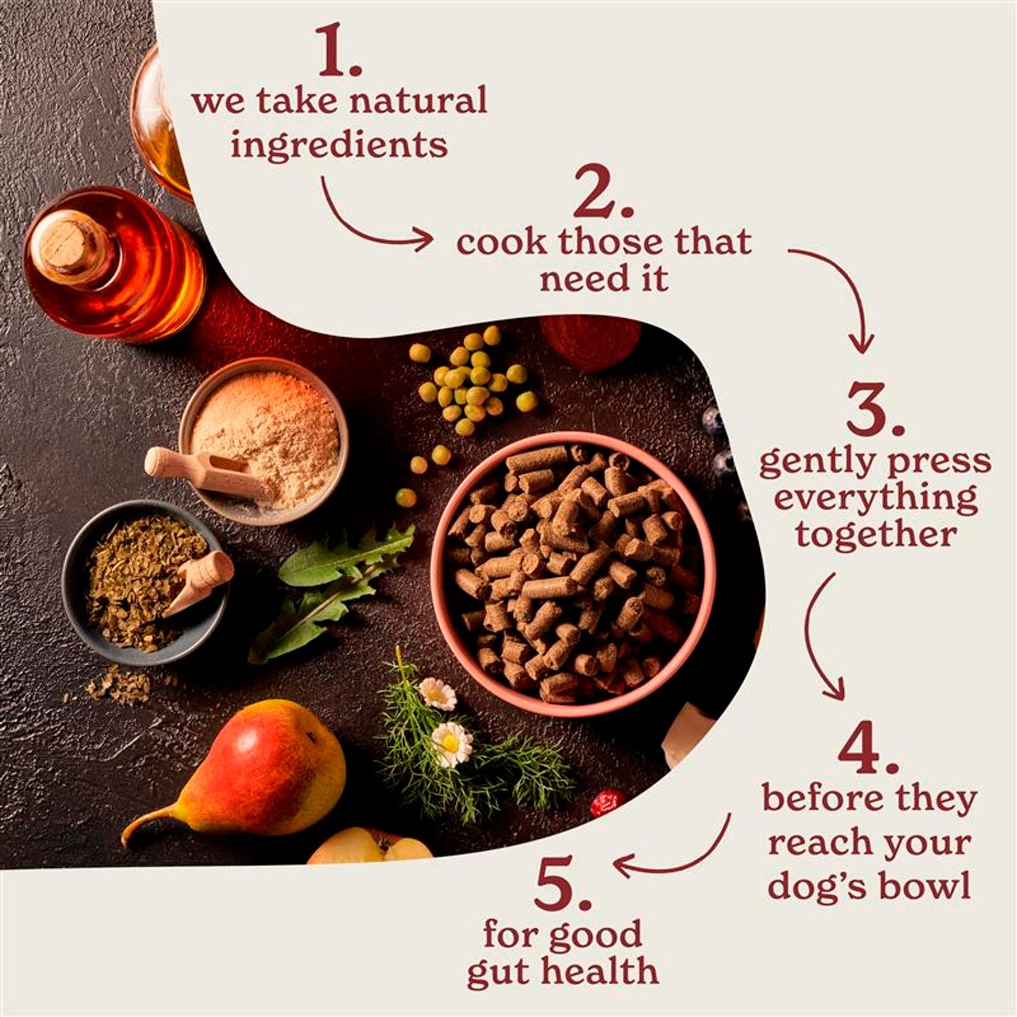 Forthglade Cold Pressed Grain Free Chicken dog Food 2kg — image 3