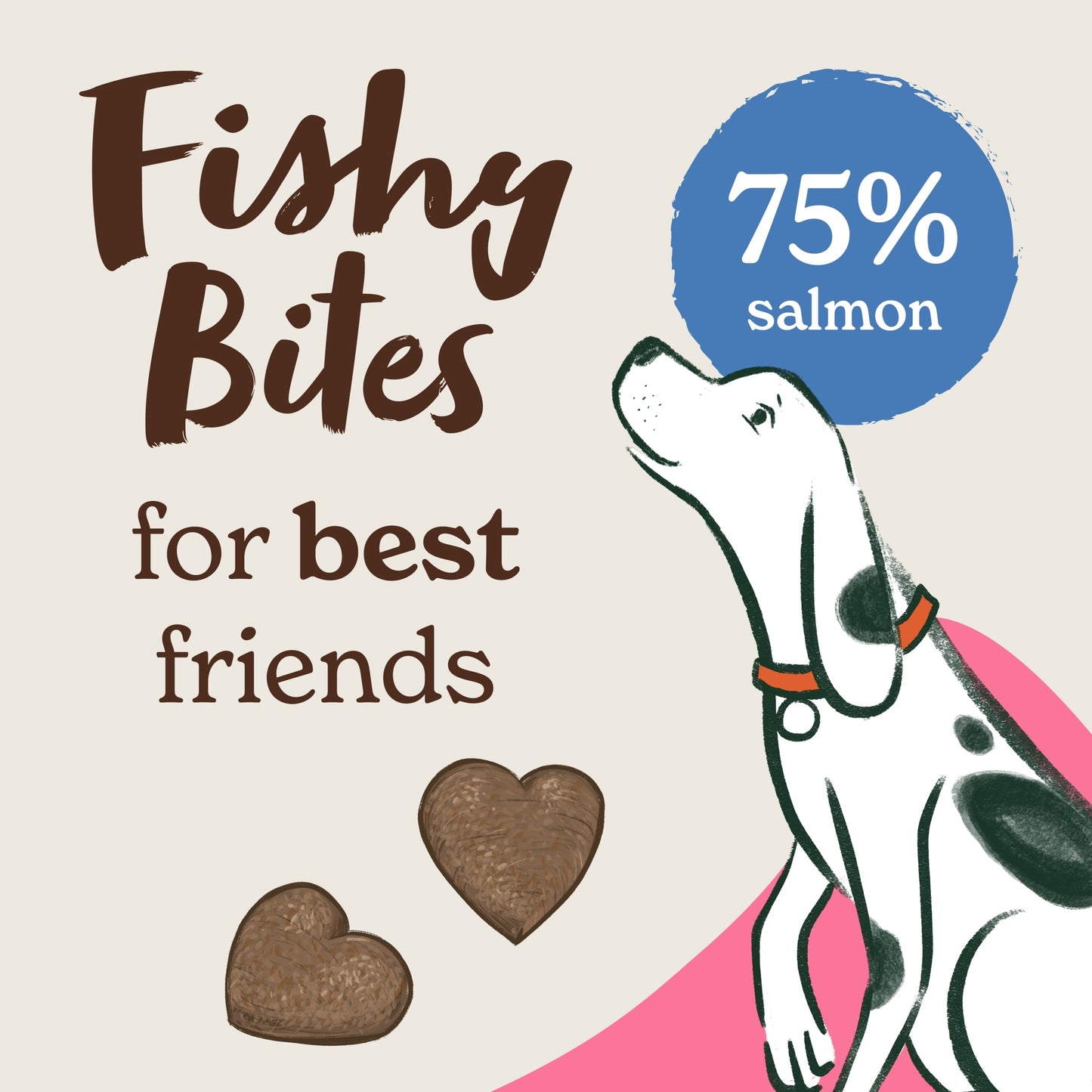 Forthglade Fishy Bites Salmon with Dill Dog Treats 70g — image 2