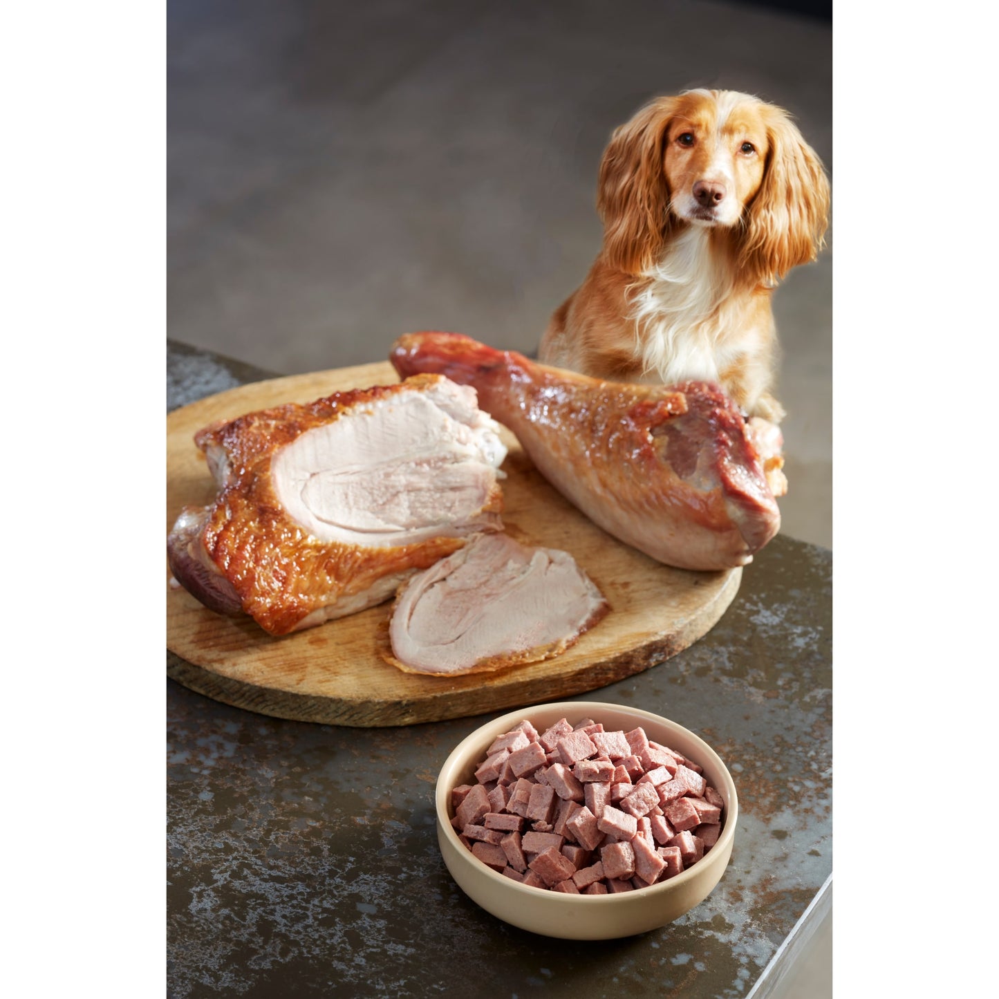 Freshpet Complete Nutrition Grain Free Turkey Fresh Dog Food 800g — image 3