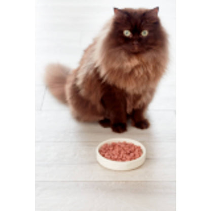 Freshpet Grilled Chicken Fresh Cat Food 400g — image 3
