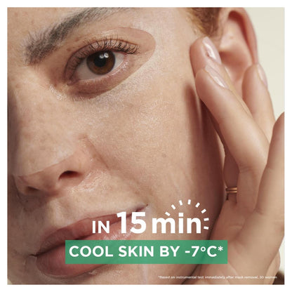 Garnier Hyaluronic Cryo Sheet Mask 27G — image 5