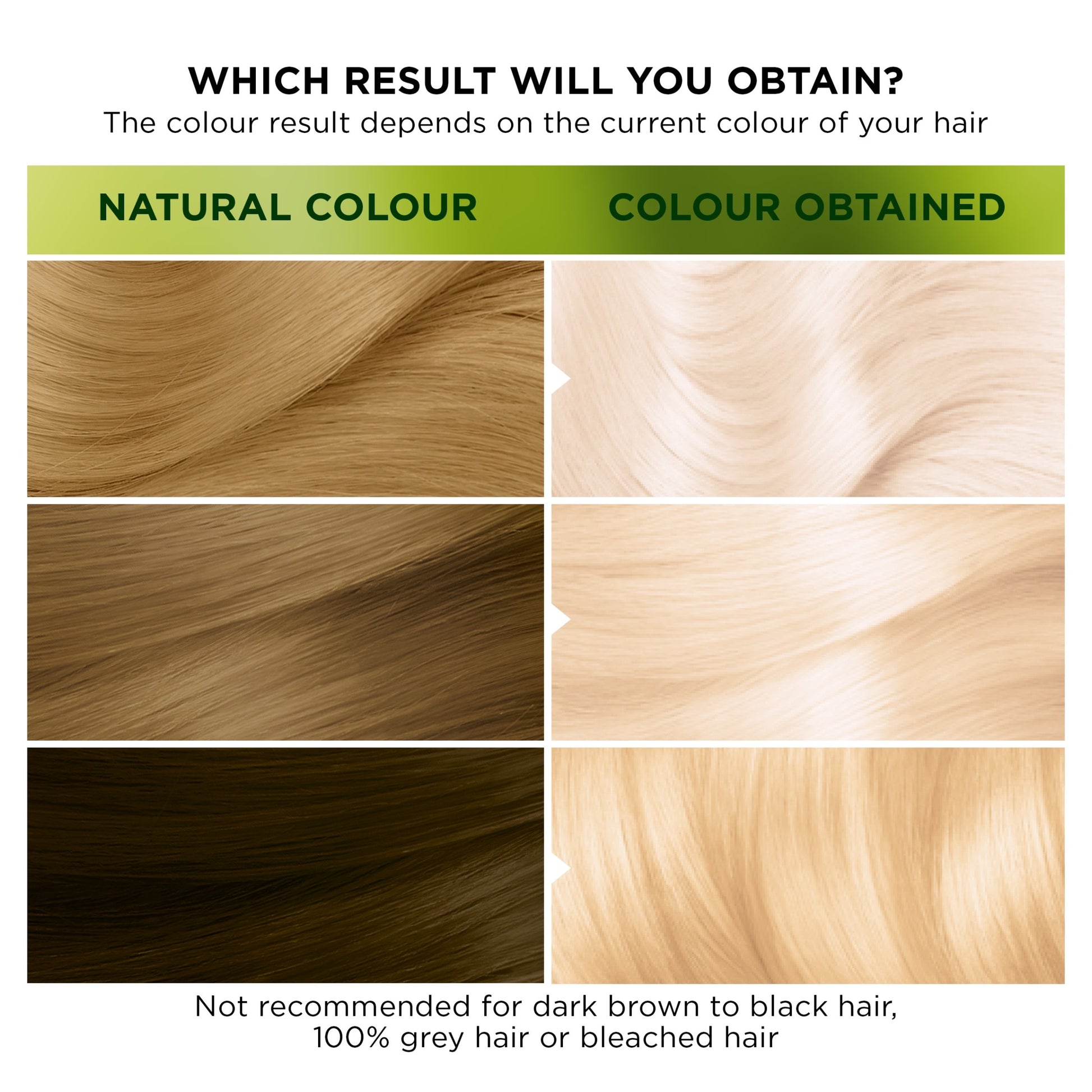 Garnier Nutrisse Ultra Colour D4+ Ultra Lightener Hair Dye — image 3
