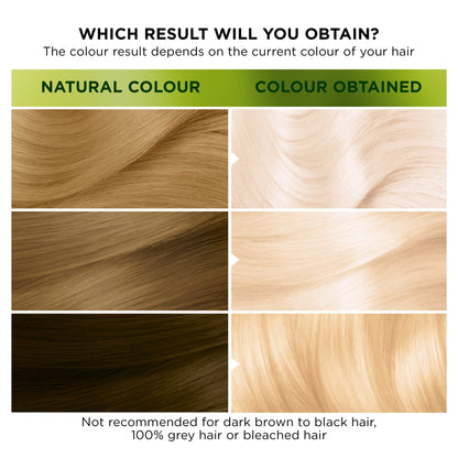 Garnier Nutrisse Ultra Colour D4+ Ultra Lightener Hair Dye — image 3
