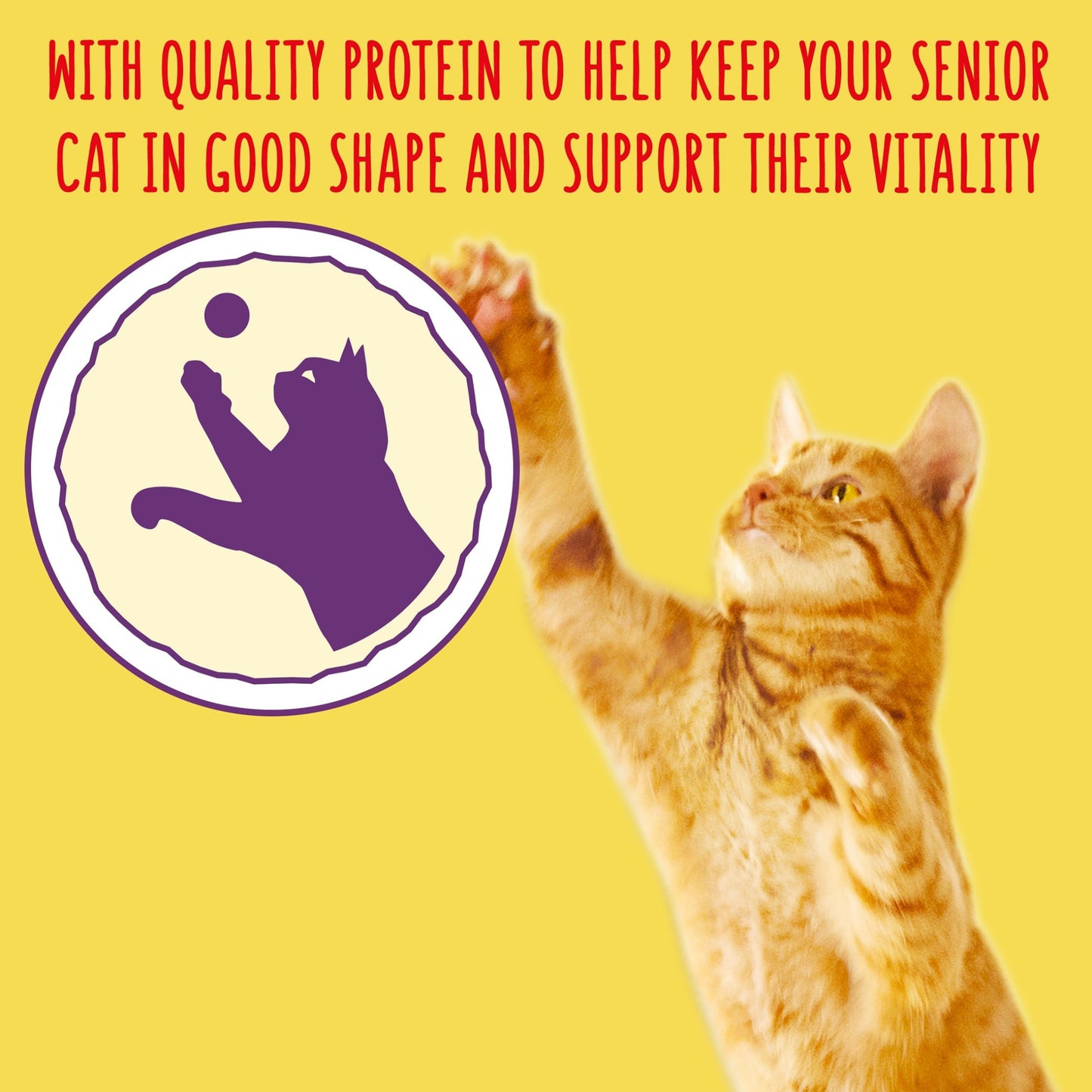 GO-CAT Senior Chicken and Turkey Dry Cat Food 750g — image 4