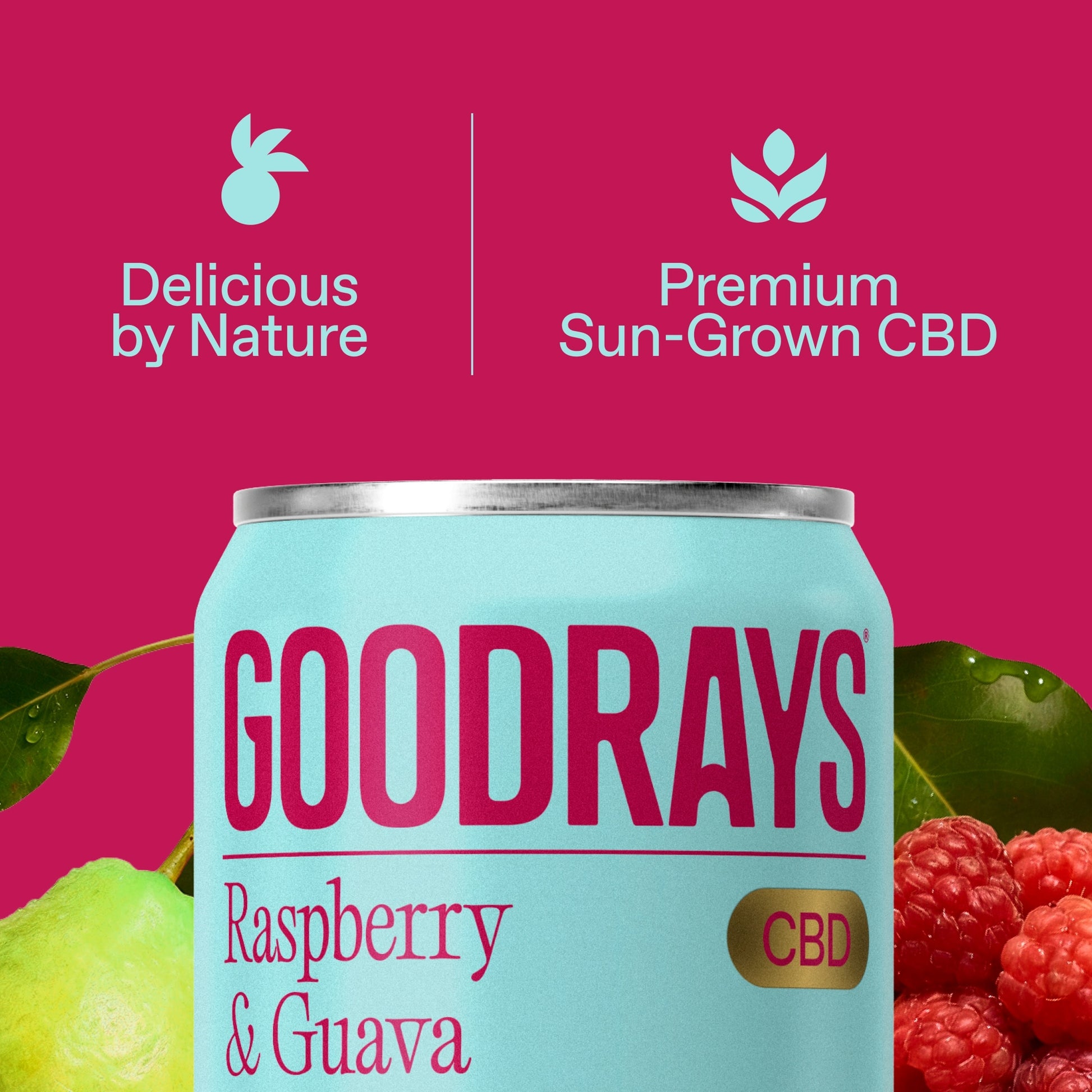 Goodrays CBD Raspberry & Guava Drink 4 x 330ml — image 3