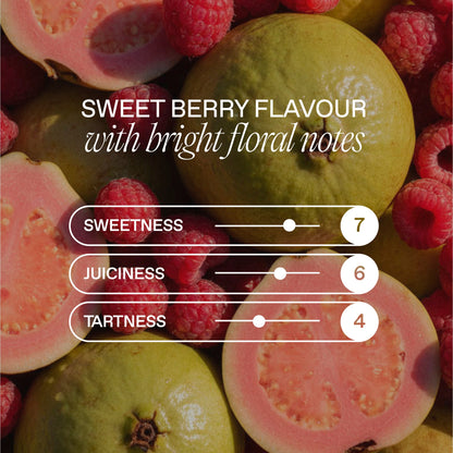 Goodrays CBD Raspberry & Guava Drink 4 x 330ml — image 4