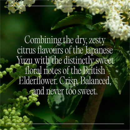 Goodrays Natural Cbd Elderflower & Yuzu Drink 4 X 250Ml — image 3