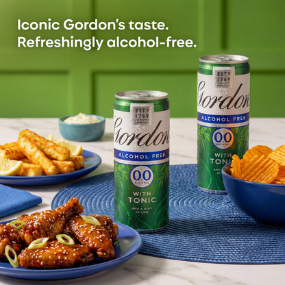 Gordon's Alcohol Free Spirit & Tonic with Lime Can 0% Vol 4x250ml — image 4
