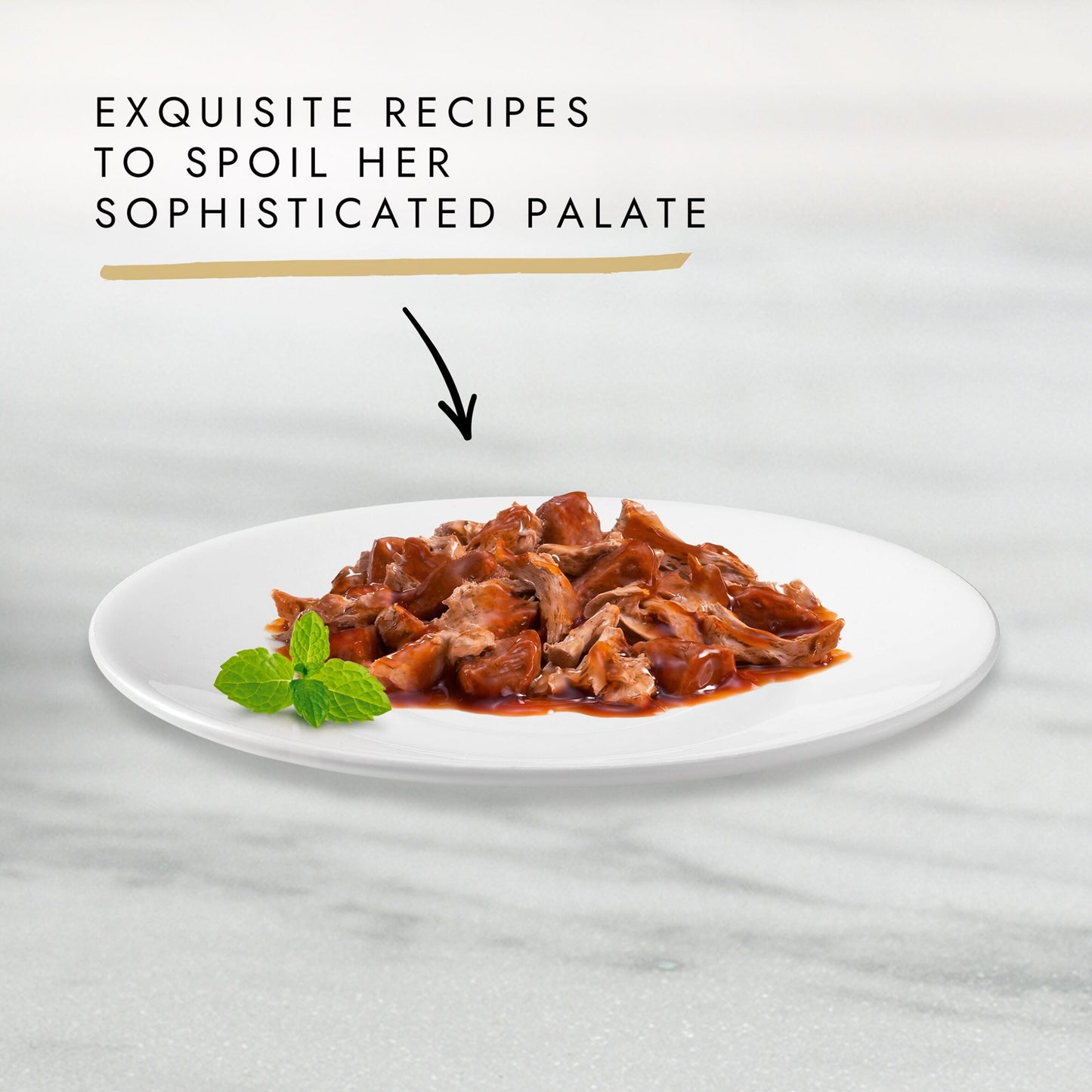 Gourmet Gold Duo Duck And Turkey 85G — image 2