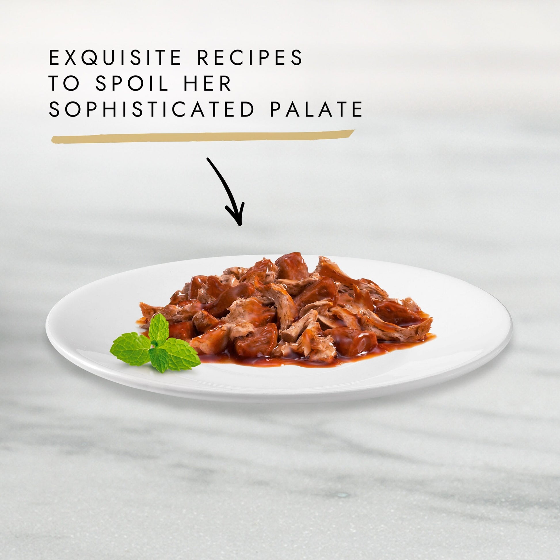 Gourmet Gold Duo Duck And Turkey 85G — image 2