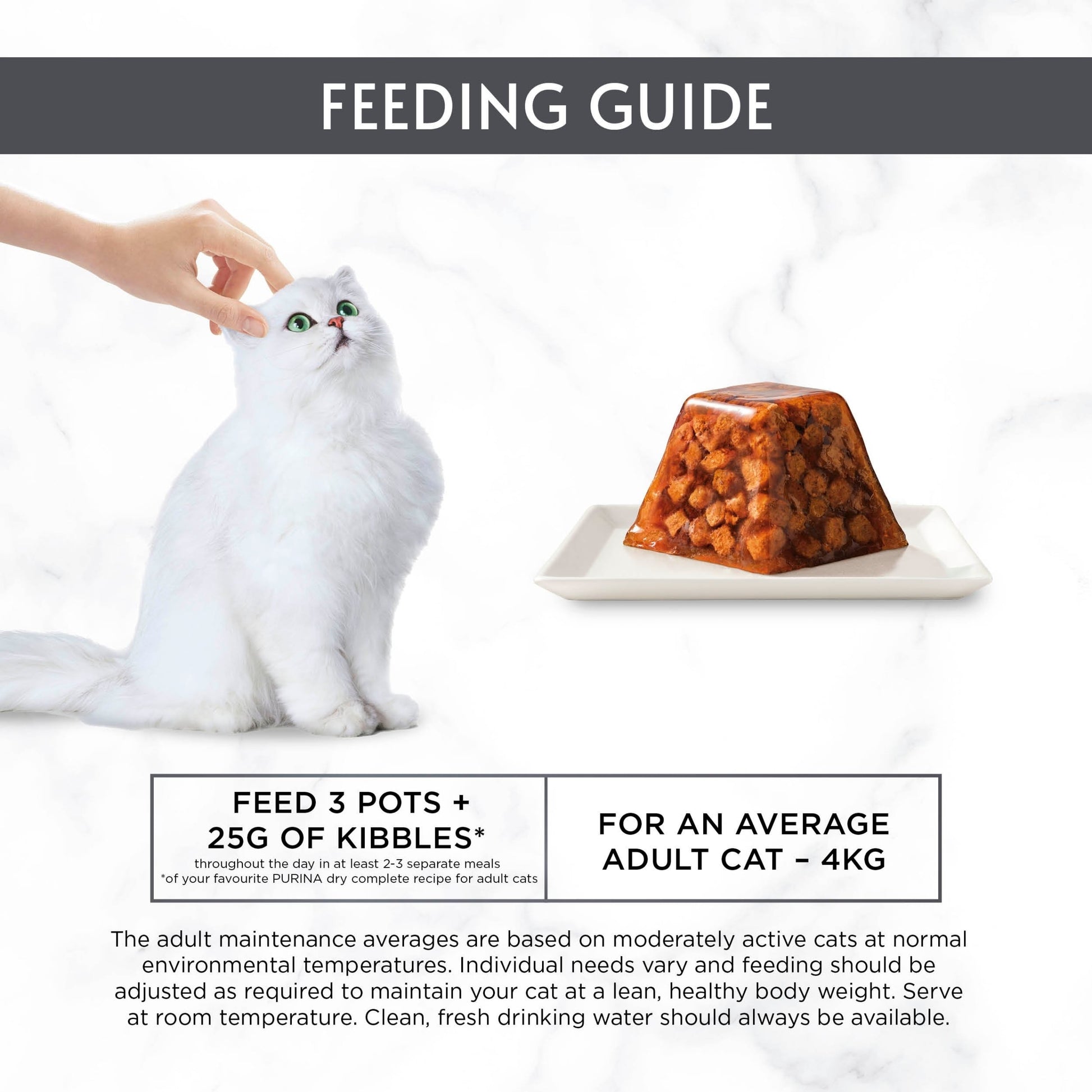 Gourmet Revelations Gelée Salmon in Jelly Wet Cat Food 4x57g — image 3
