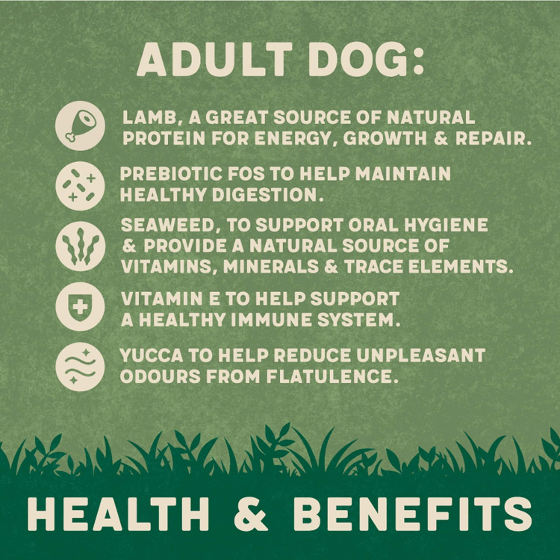 Harringtons Adult Dry Dog Food, Lamb 1kg — image 2