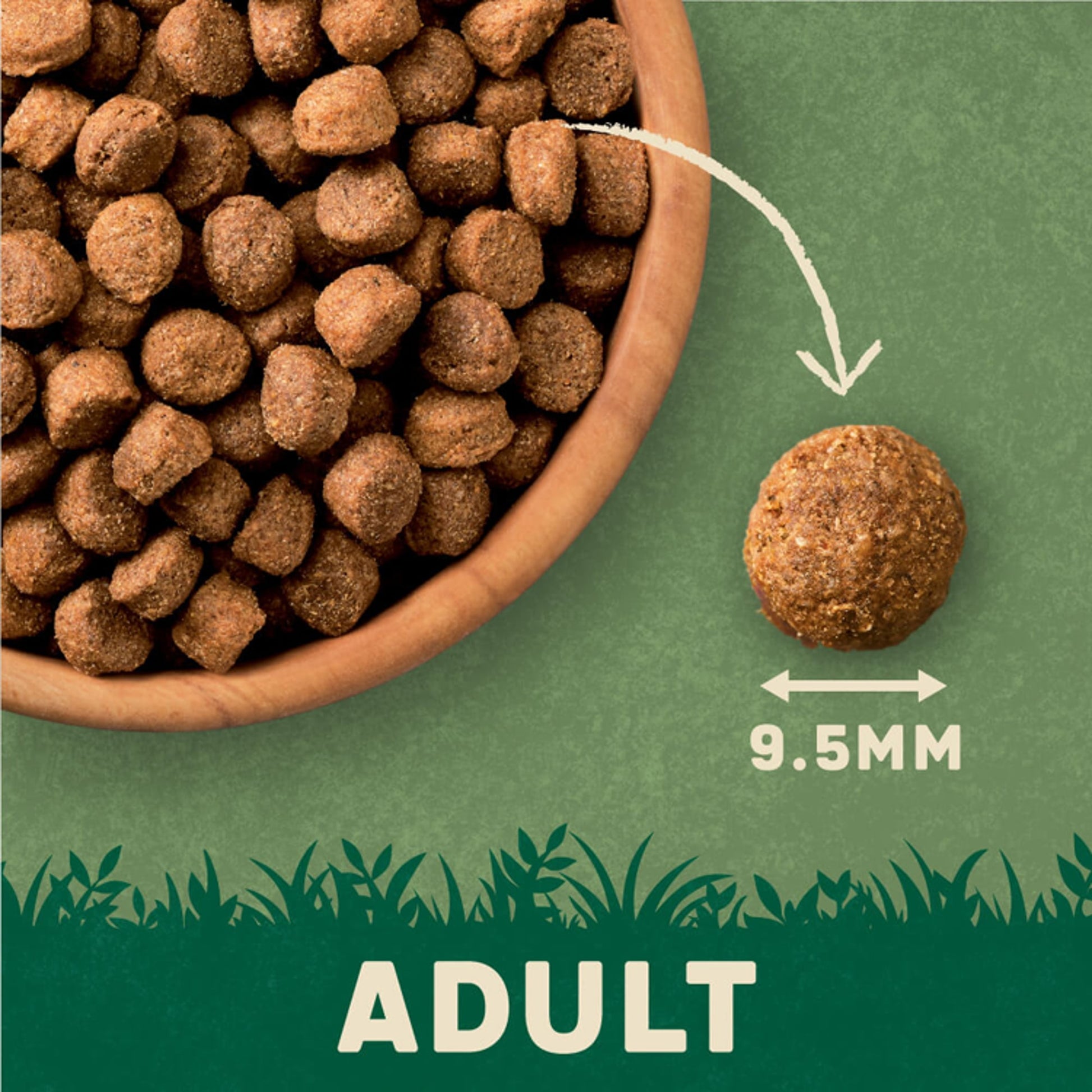 Harringtons Adult Dry Dog Food, Lamb 1kg — image 3