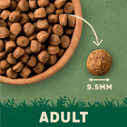 Harringtons Adult Dry Dog Food, Lamb 1kg — image 3