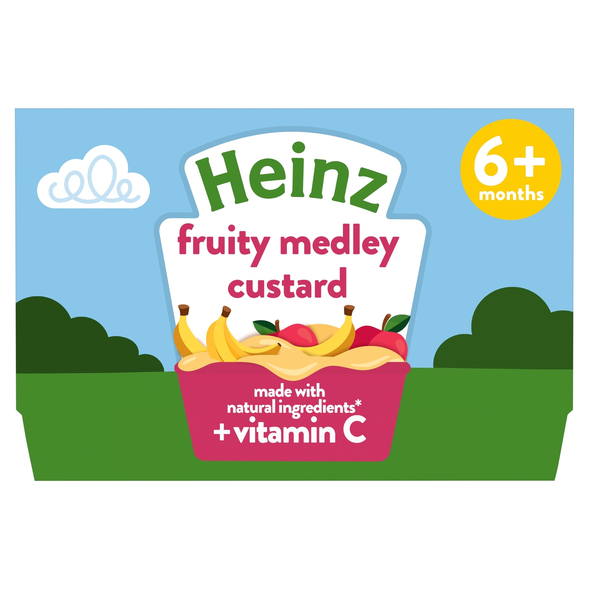 Heinz Fruity Medley Custard Baby Food Dessert Pots 4 x 100g — image 1