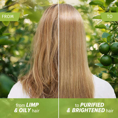 Herbal Essences Clarify & Shine Lime Scent Shampoo 350ml — image 3