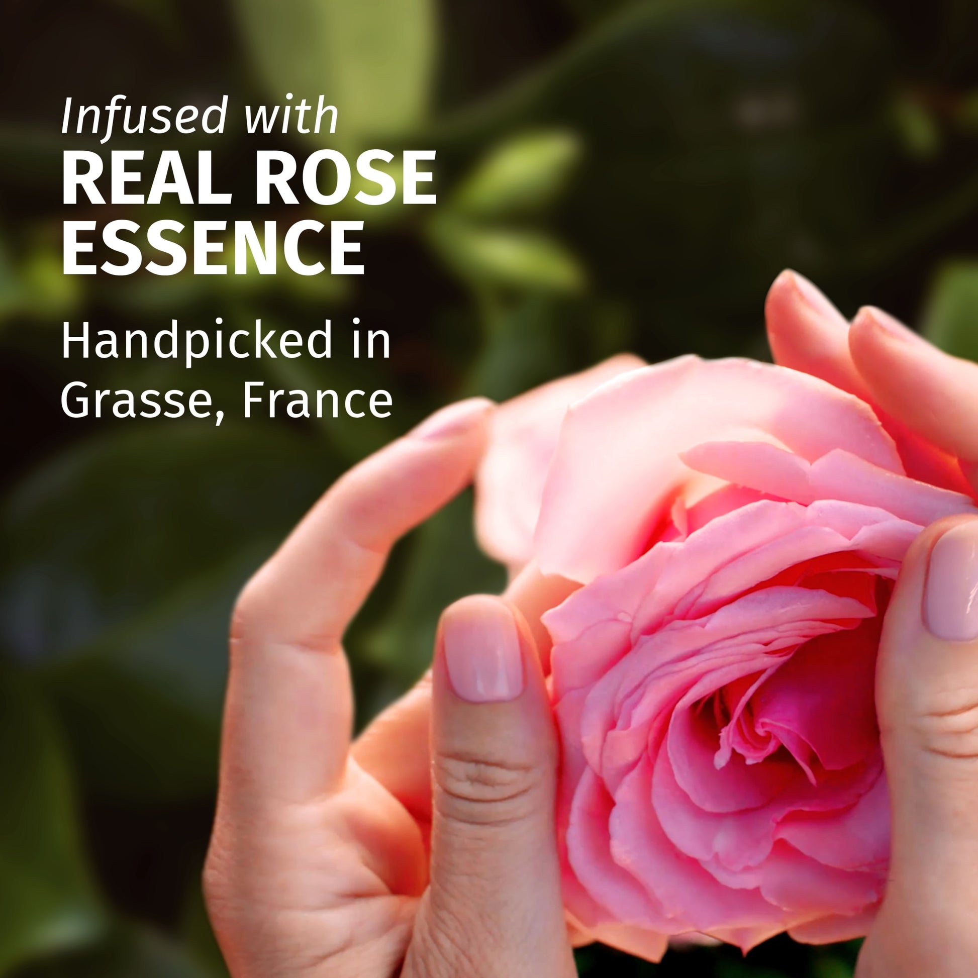 Herbal Essences Petal Soft Rose Scent Conditioner 350ML — image 2