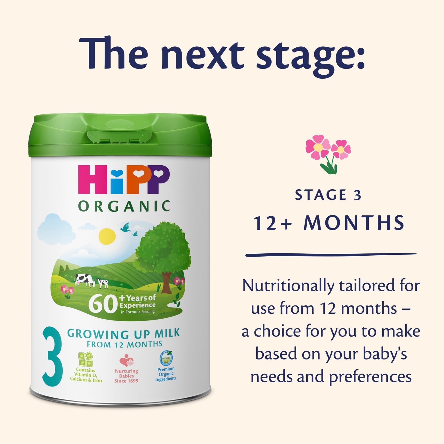 HiPP Organic 2 Follow on Baby Milk Powder Formula, From 6 Months, 800g — image 4
