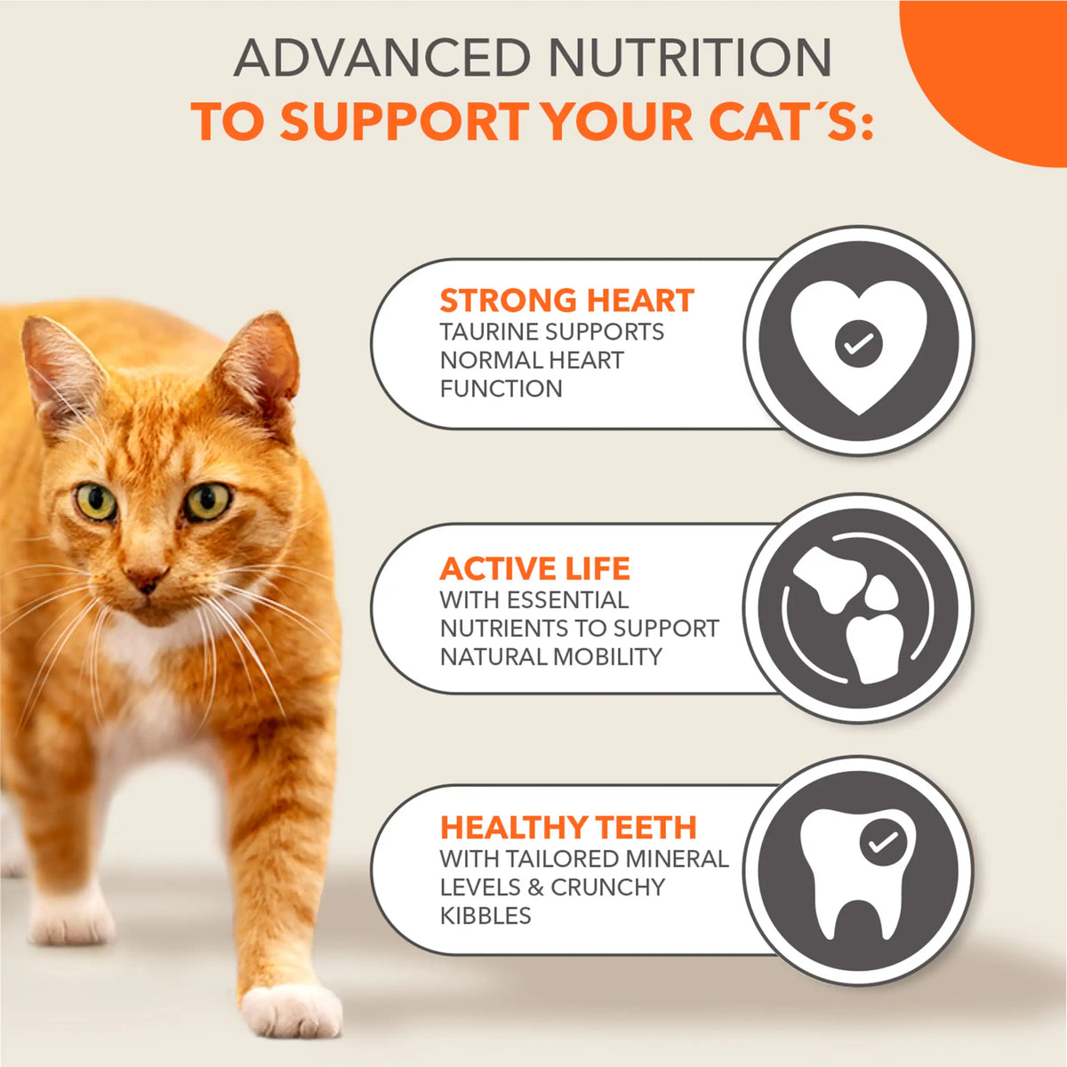 IAMS 7+ Years Cat Food with Tuna 800g — image 4