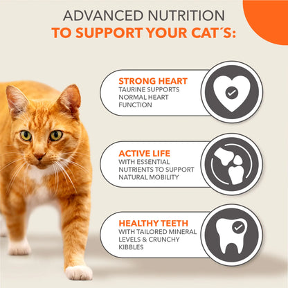 IAMS 7+ Years Cat Food with Tuna 800g — image 4