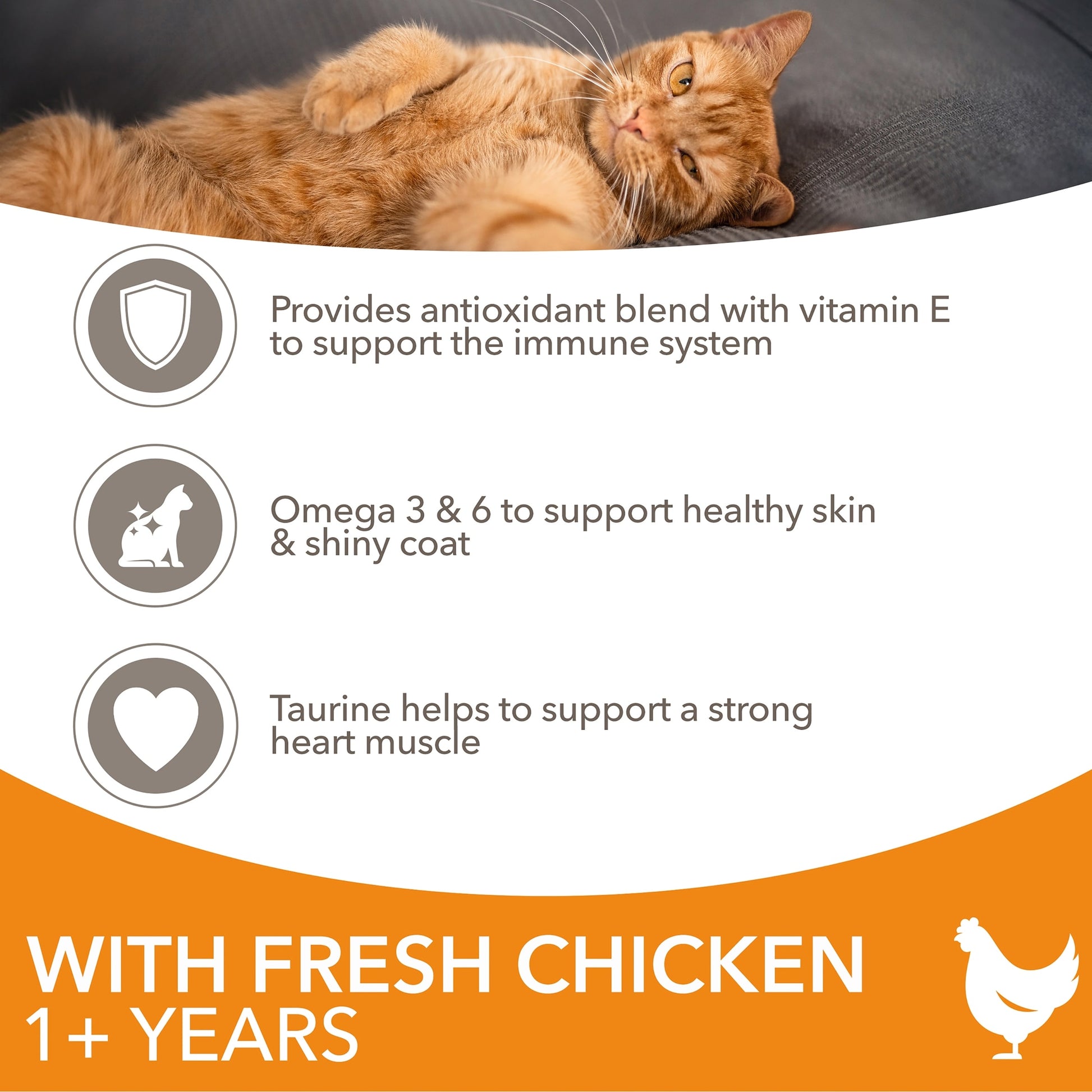 Iams Adult 1+ Cat Food With Fresh Chicken 800G — image 2
