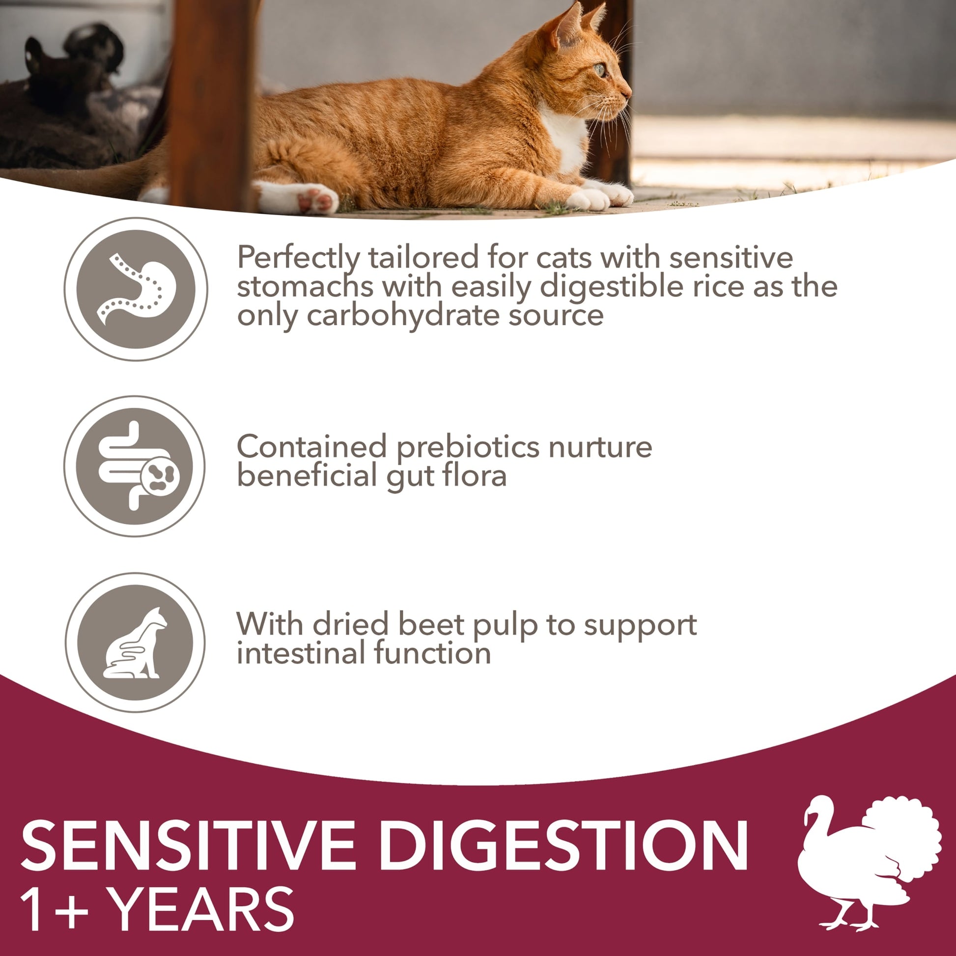 IAMS Adult Sensitive Dry Cat Food Turkey 800g — image 2