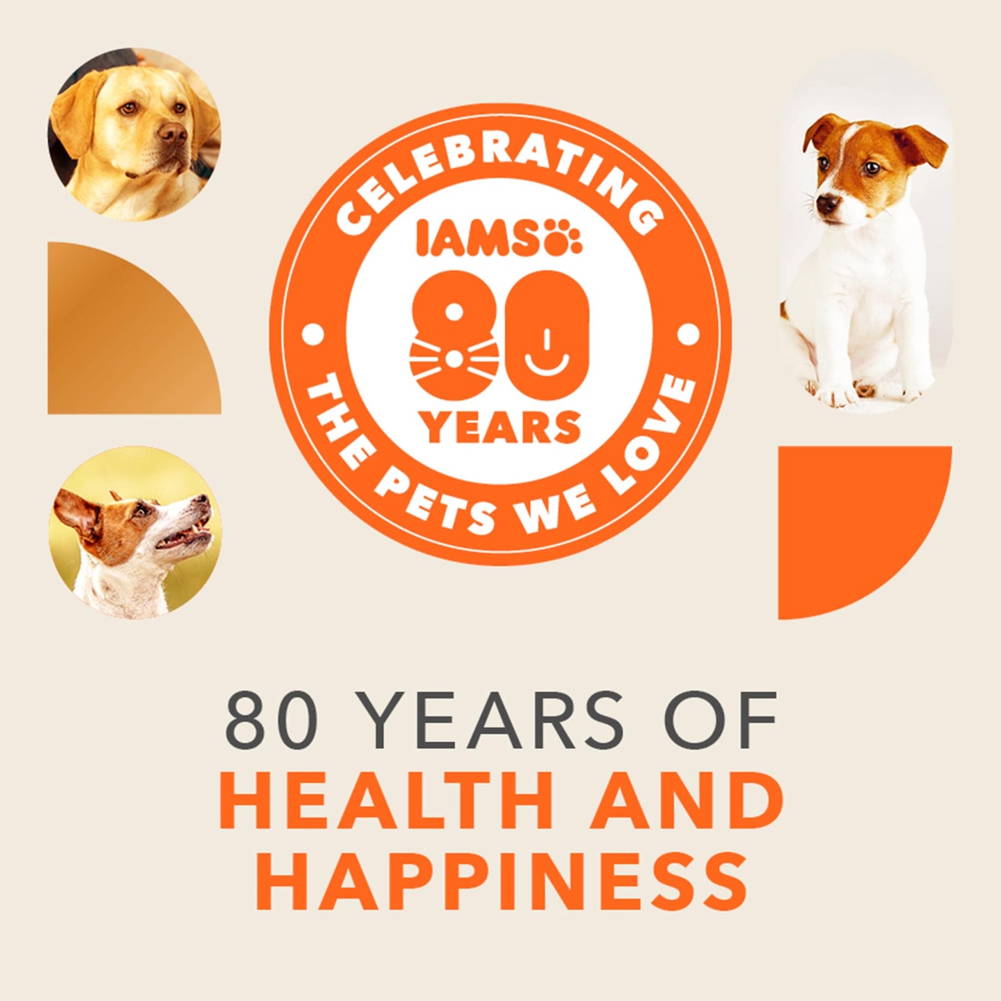 IAMS Adult Sensitive Dry Dog Food Turkey 2kg — image 2