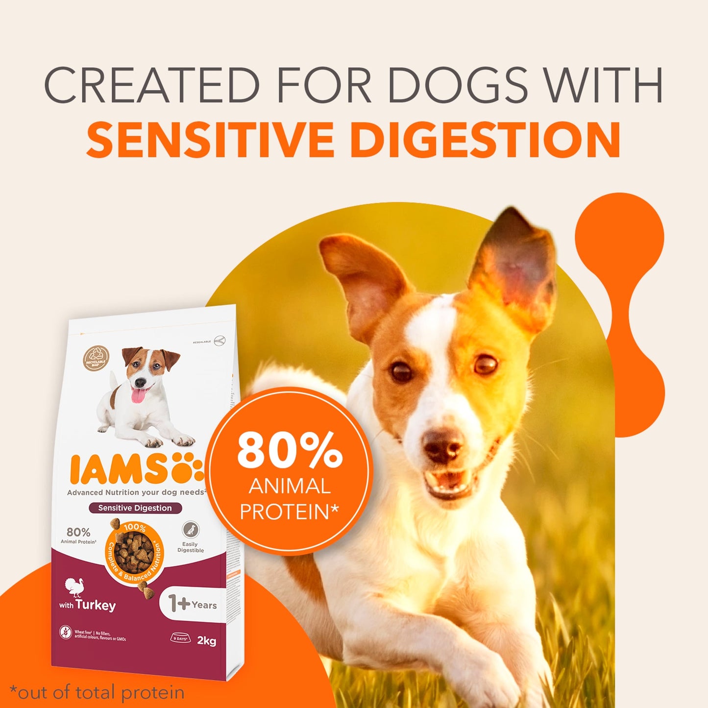 IAMS Adult Sensitive Dry Dog Food Turkey 2kg — image 3