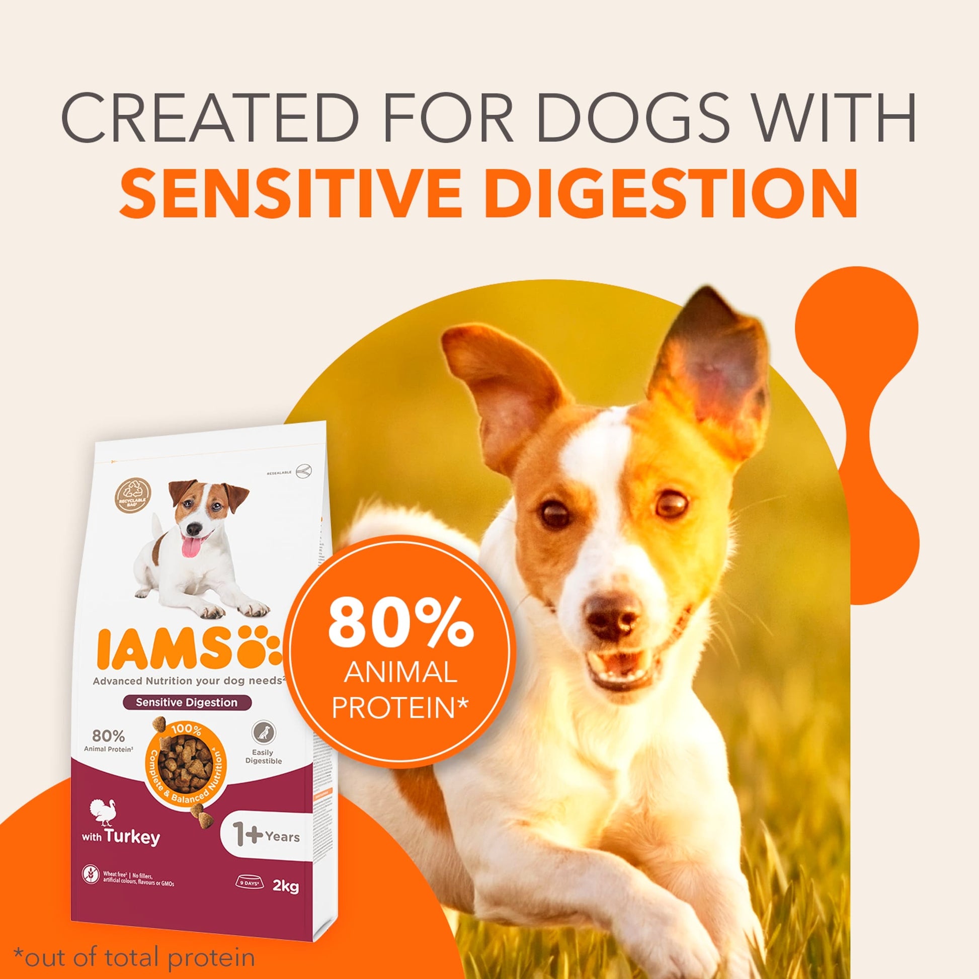 IAMS Adult Sensitive Dry Dog Food Turkey 2kg — image 3