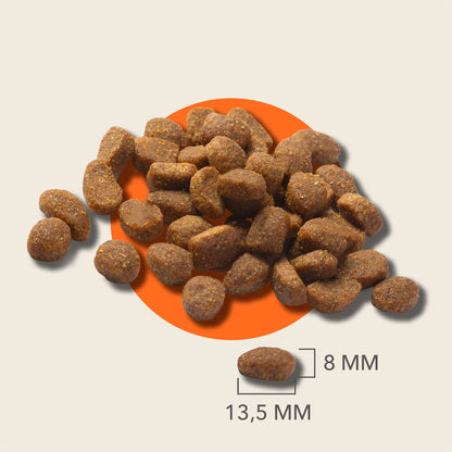 IAMS Adult Sensitive Dry Dog Food Turkey 2kg — image 5