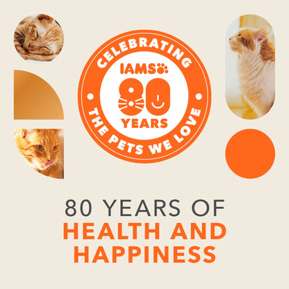 Iams Cat Food Adult Chicken 3Kg — image 2