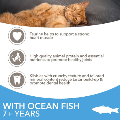 Iams Cat Food Senior With Ocean Fish 800G — image 2
