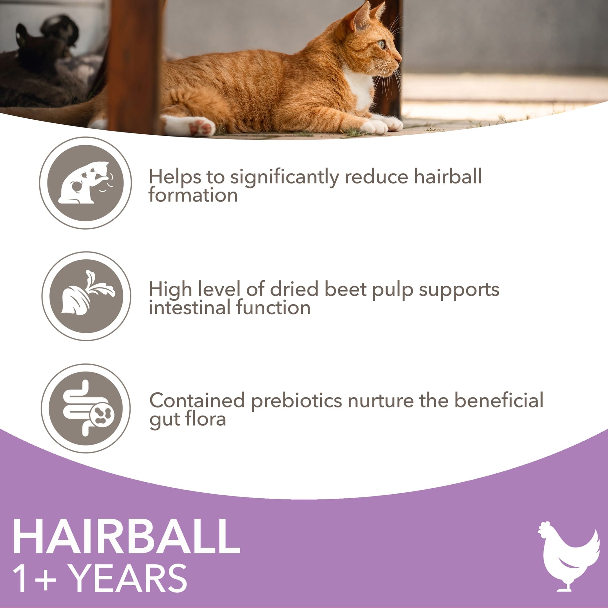 IAMS Hairball Dry Cat Food Chicken 800g — image 2