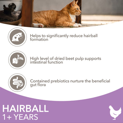 IAMS Hairball Dry Cat Food Chicken 800g — image 2