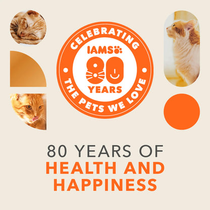 IAMS Senior 11+ Dry Cat Food Chicken 800g — image 2